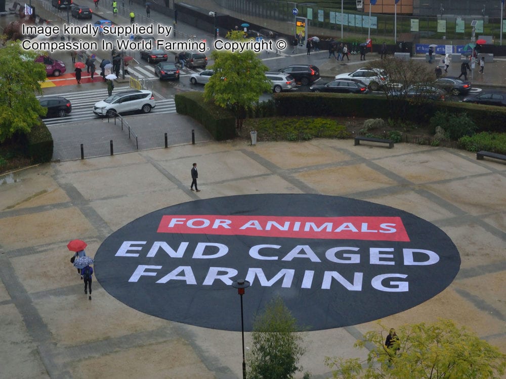 Printed Centre circle banner