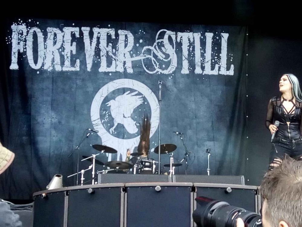 Forever Still Band Backdrop